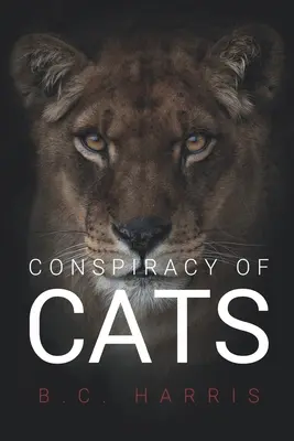 Spisek kotów - Conspiracy of Cats