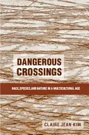 Niebezpieczne przejścia - Dangerous Crossings