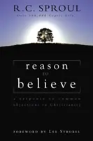 Powód, by wierzyć: Odpowiedź na powszechne obiekcje wobec chrześcijaństwa - Reason to Believe: A Response to Common Objections to Christianity