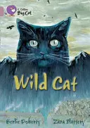 Dziki kot - Wild Cat