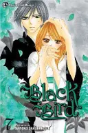Black Bird, tom 7 - Black Bird, Volume 7