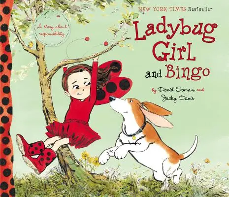 Biedroneczka i bingo - Ladybug Girl and Bingo