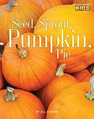 Ziarno, kiełek, dynia, ciasto - Seed, Sprout, Pumpkin, Pie