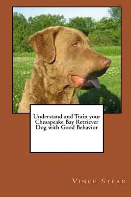 Jak zrozumieć i wytresować psa rasy Chesapeake Bay Retriever z dobrym zachowaniem? - Understand and Train your Chesapeake Bay Retriever Dog with Good Behavior