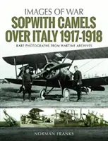 Sopwith Camels nad Włochami, 1917-1918 - Sopwith Camels Over Italy, 1917-1918