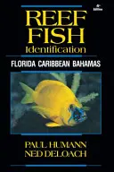 Identyfikacja ryb rafowych: Floryda, Karaiby, Bahamy - Reef Fish Identification: Florida Caribbean Bahamas