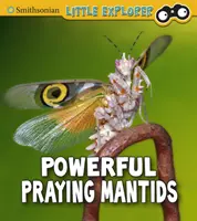 Potężne modliszki - Powerful Praying Mantises
