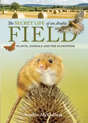 Sekretne życie pól uprawnych: Rośliny, zwierzęta i ekosystem - The Secret Life of an Arable Field: Plants, Animals and the Ecosystem