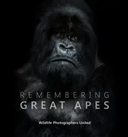 Pamiętając o małpach człekokształtnych - Remembering Great Apes