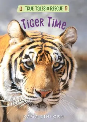 Czas tygrysa - Tiger Time