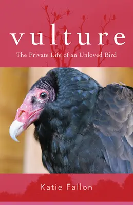 Sęp: Prywatne życie niekochanego ptaka - Vulture: The Private Life of an Unloved Bird