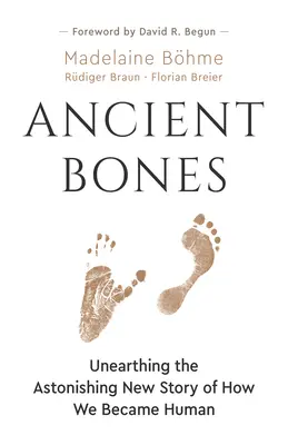 Ancient Bones: Odkrywając zdumiewającą nową historię o tym, jak staliśmy się ludźmi - Ancient Bones: Unearthing the Astonishing New Story of How We Became Human