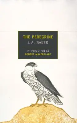 The Peregrine