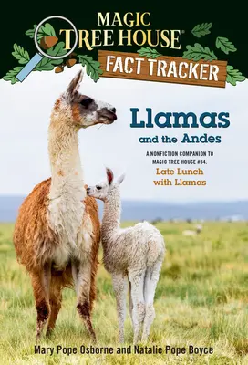 Lamy i Andy: książka non-fiction uzupełniająca Magiczny domek na drzewie #34: Późny lunch z lamami - Llamas and the Andes: A Nonfiction Companion to Magic Tree House #34: Late Lunch with Llamas
