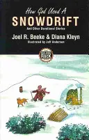 Jak Bóg wykorzystał zaspę śnieżną - How God Used a Snowdrift