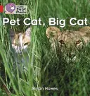 Kot domowy, kot duży - Pet Cat, Big Cat