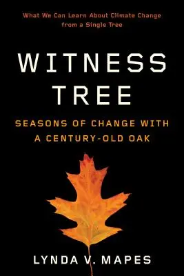 Drzewo świadek: Pory zmian ze stuletnim dębem - Witness Tree: Seasons of Change with a Century-Old Oak
