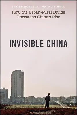 Niewidzialne Chiny: Jak przepaść między miastem a wsią zagraża wzrostowi Chin - Invisible China: How the Urban-Rural Divide Threatens China's Rise