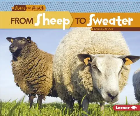 Od owcy do swetra - From Sheep to Sweater