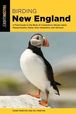 Birding New England: Przewodnik terenowy po ptakach Connecticut, Rhode Island, Massachusetts, Maine, New Hampshire i Vermont - Birding New England: A Field Guide to the Birds of Connecticut, Rhode Island, Massachusetts, Maine, New Hampshire, and Vermont