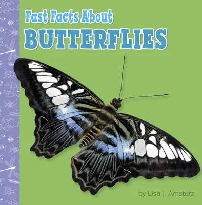 Krótkie informacje o motylach - Fast Facts about Butterflies