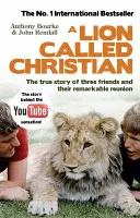 Lew zwany chrześcijaninem - Lion Called Christian
