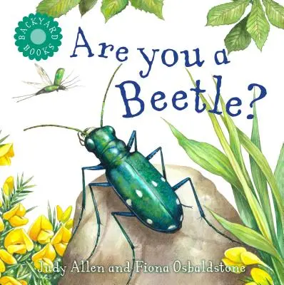 Czy jesteś żukiem? - Are You a Beetle?