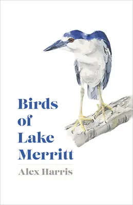 Ptaki jeziora Merritt - Birds of Lake Merritt