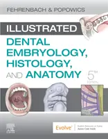 Ilustrowana embriologia, histologia i anatomia w stomatologii - Illustrated Dental Embryology, Histology, and Anatomy