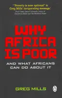 Dlaczego Afryka jest biedna - Why Africa is poor