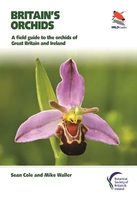 Orchidee Wielkiej Brytanii: Przewodnik terenowy po storczykach Wielkiej Brytanii i Irlandii - Britain's Orchids: A Field Guide to the Orchids of Great Britain and Ireland