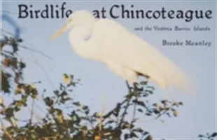 Życie ptaków na Chincoteague i Wyspach Barierowych Wirginii - Birdlife at Chincoteague and the Virginia Barrier Islands