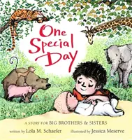 Jeden wyjątkowy dzień: Historia dla starszych braci i sióstr - One Special Day: A Story for Big Brothers and Sisters