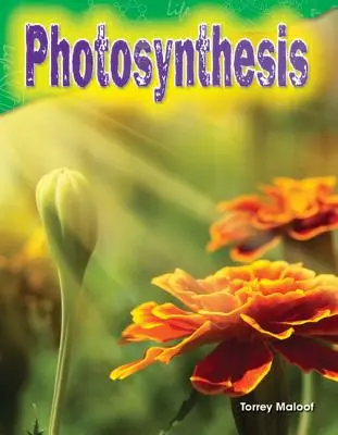 Fotosynteza - Photosynthesis