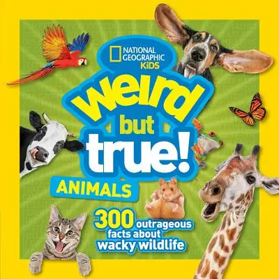 Zwierzęta dziwne, ale prawdziwe - Weird But True Animals