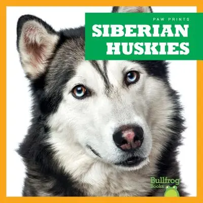 Husky syberyjskie - Siberian Huskies