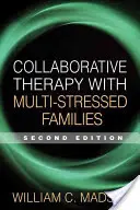 Terapia oparta na współpracy z rodzinami przeżywającymi wiele stresów - Collaborative Therapy with Multi-Stressed Families