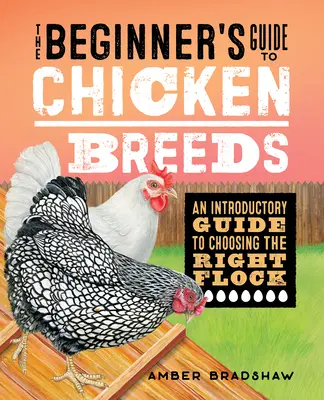 Przewodnik dla początkujących po rasach kurczaków: Przewodnik wprowadzający do wyboru odpowiedniego stada - The Beginner's Guide to Chicken Breeds: An Introductory Guide to Choosing the Right Flock