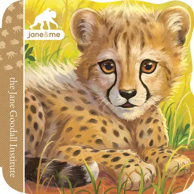 Gepard - Cheetah