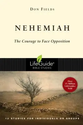 Nehemiasz: Odwaga w obliczu sprzeciwu - Nehemiah: Courage in the Face of Opposition