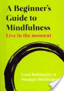 Przewodnik dla początkujących po uważności: Żyj chwilą - A Beginner's Guide to Mindfulness: Live in the Moment