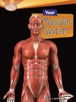 Twój układ mięśniowy - Your Muscular System