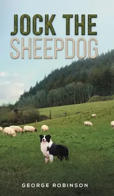 Owczarek Jock - Jock the Sheepdog