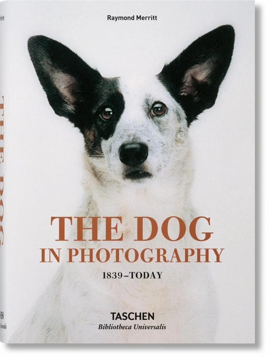 Pies w fotografii od 1839 roku do dziś - The Dog in Photography 1839-Today