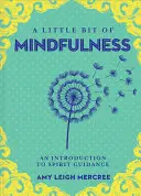 Trochę uważności, 13: Wprowadzenie do bycia obecnym - A Little Bit of Mindfulness, 13: An Introduction to Being Present