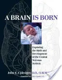 Narodziny mózgu: odkrywanie narodzin i rozwoju centralnego układu nerwowego - A Brain Is Born: Exploring the Birth and Development of the Central Nervous System