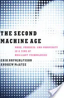 Druga era maszyn: praca, postęp i dobrobyt w czasach genialnych technologii - The Second Machine Age: Work, Progress, and Prosperity in a Time of Brilliant Technologies