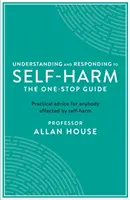 Zrozumienie i reagowanie na samookaleczenia: Przewodnik One Stop: Praktyczne porady dla osób dotkniętych samookaleczeniem - Understanding and Responding to Self-Harm: The One Stop Guide: Practical Advice for Anybody Affected by Self-Harm