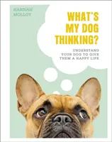 Co myśli mój pies? - Zrozum swojego psa, aby zapewnić mu szczęśliwe życie - What's My Dog Thinking? - Understand Your Dog to Give Them a Happy Life
