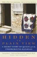 Ukryte na widoku: Sekretna historia kołder i kolei podziemnej - Hidden in Plain View: A Secret Story of Quilts and the Underground Railroad